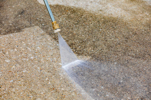 Best Sidewalk and Walkway Cleaning  in Naples Park, FL