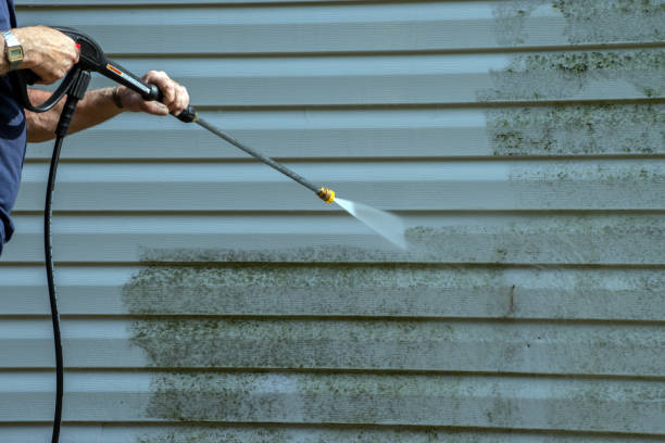 Best Roof Washing  in Naples Park, FL